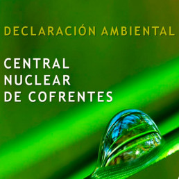 Medioambiente Subhome, Declaracion Ambiental Anual