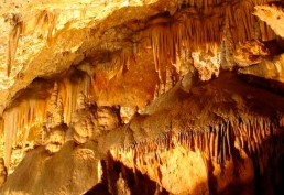 Entorno central nuclear Cofrentes: Cueva Don Juan