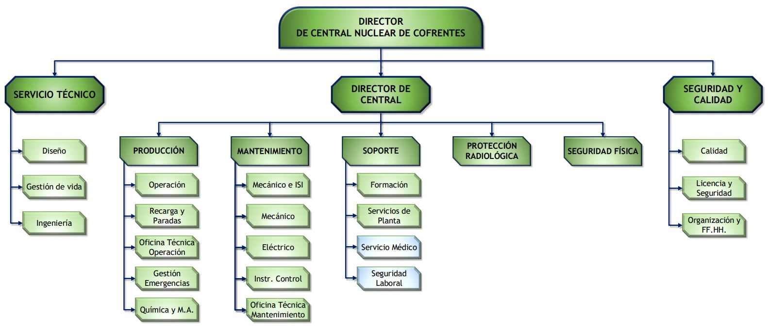 Organigrama CNC web