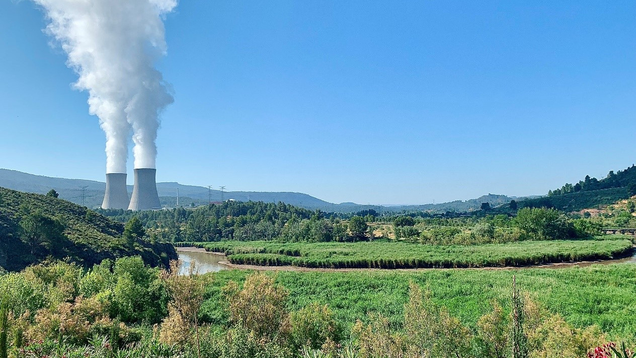 CN Cofrentes celebra Día Mundial del Medioambiente