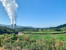 CN Cofrentes celebra Día Mundial del Medioambiente