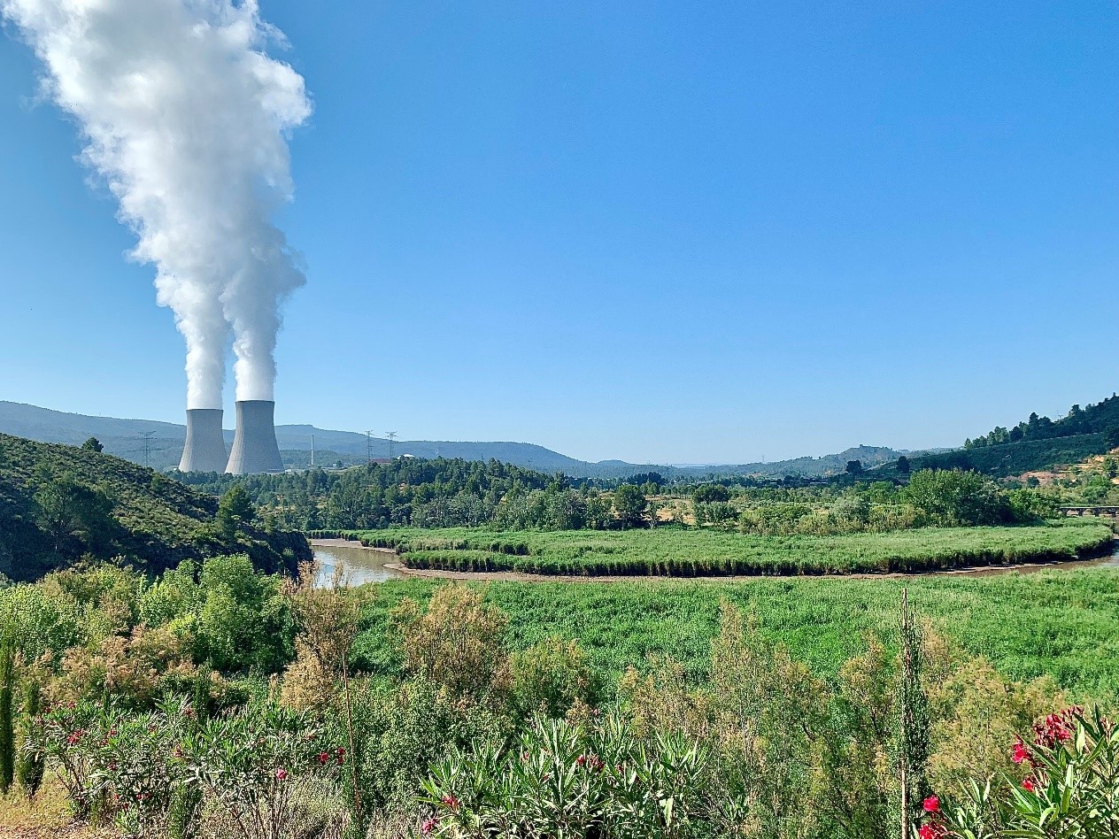 CN Cofrentes celebra Día Mundial del Medioambiente