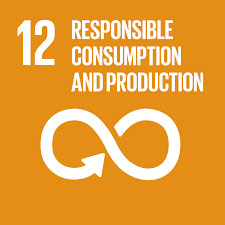 About Us: SDG 12