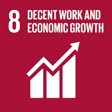 About Us: SDG 8