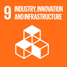 About Us: SDG 9