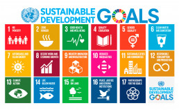 About Us: SDGs