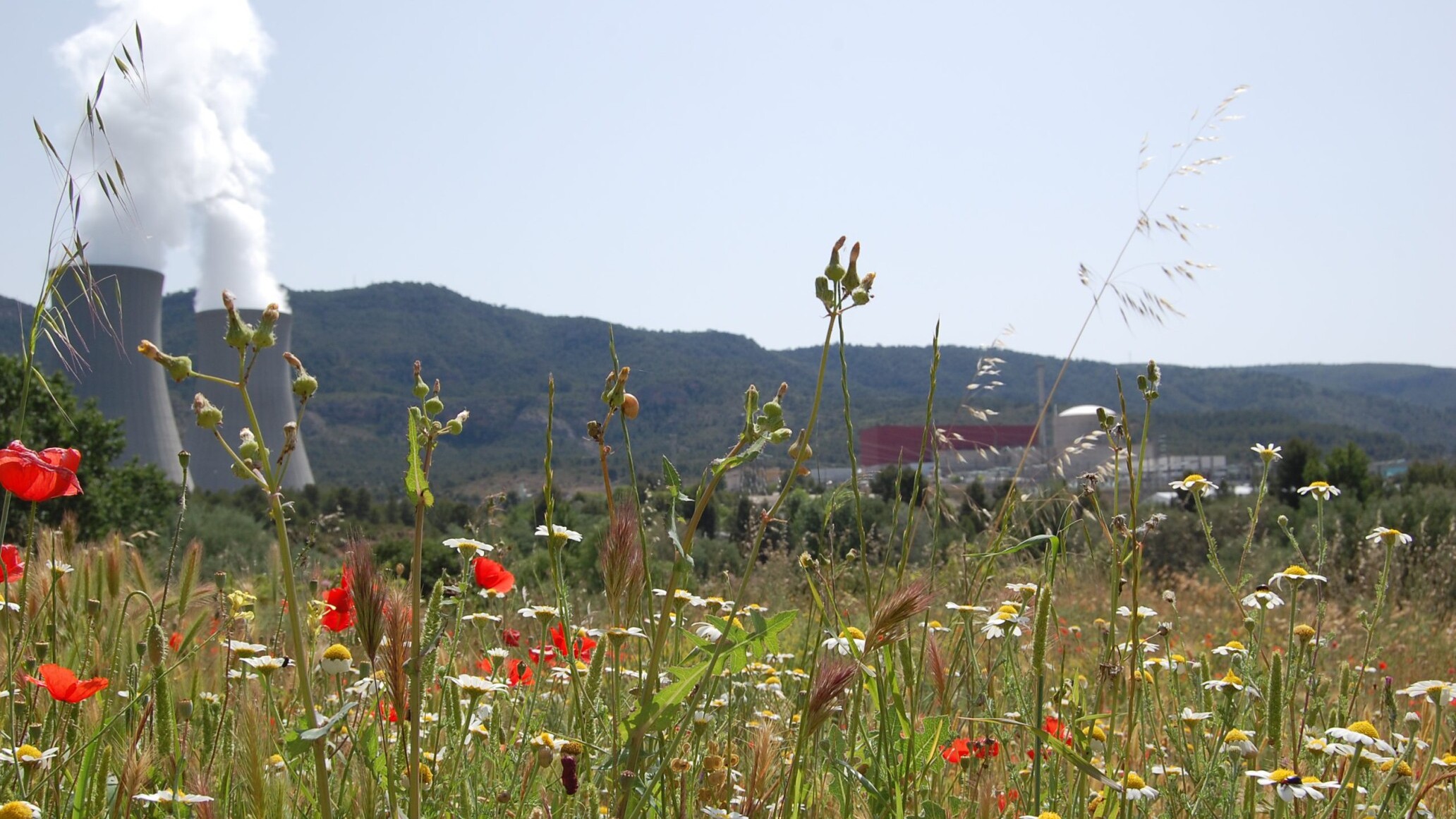 Nueva Política de gestión y protección de la naturaleza de Iberdrola